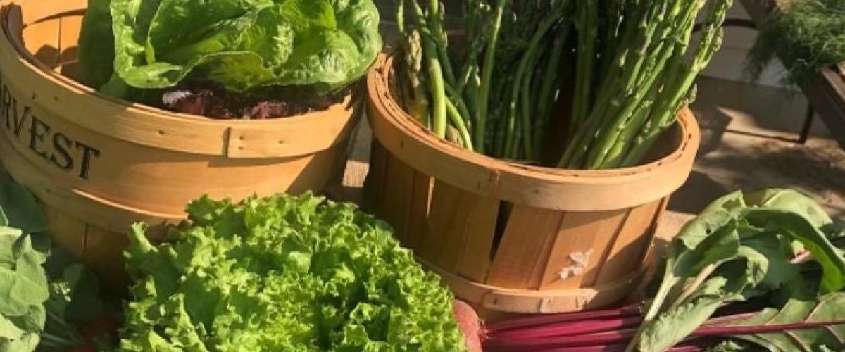 farm-stand
