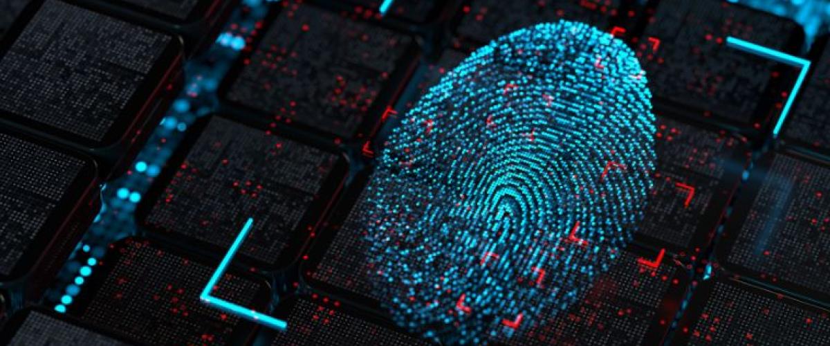 fingerprinting
