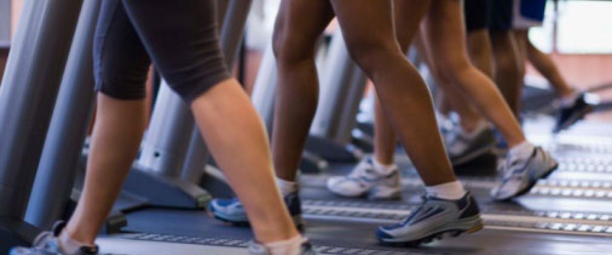 fitness