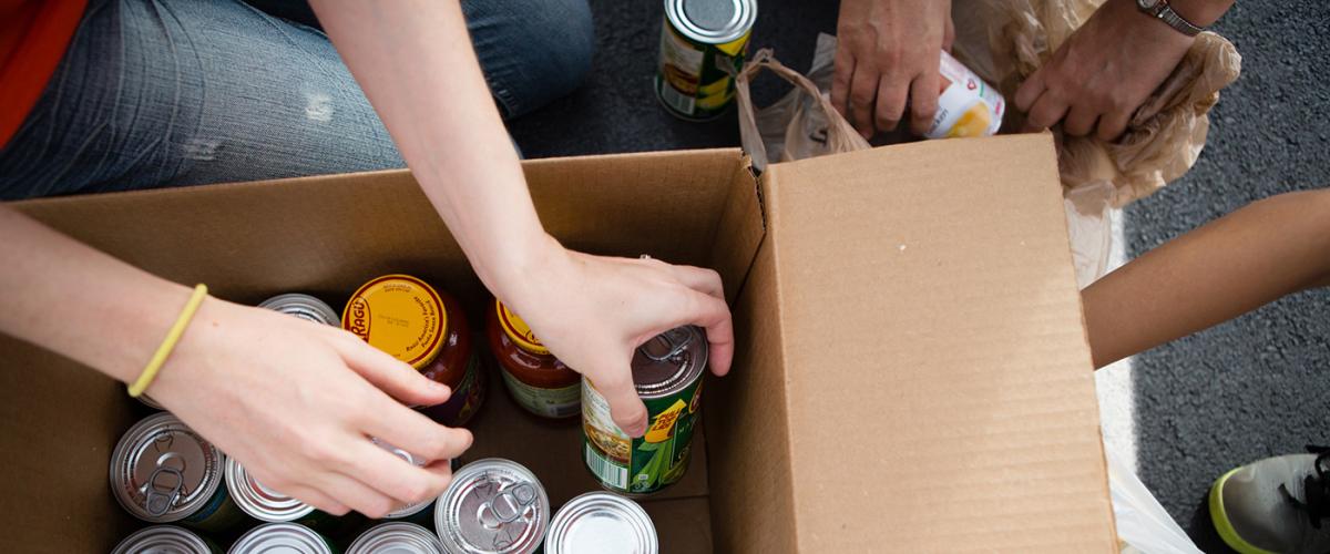food-drive