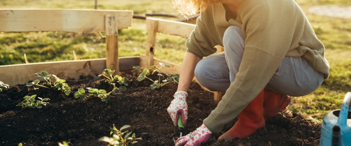 gardening-1