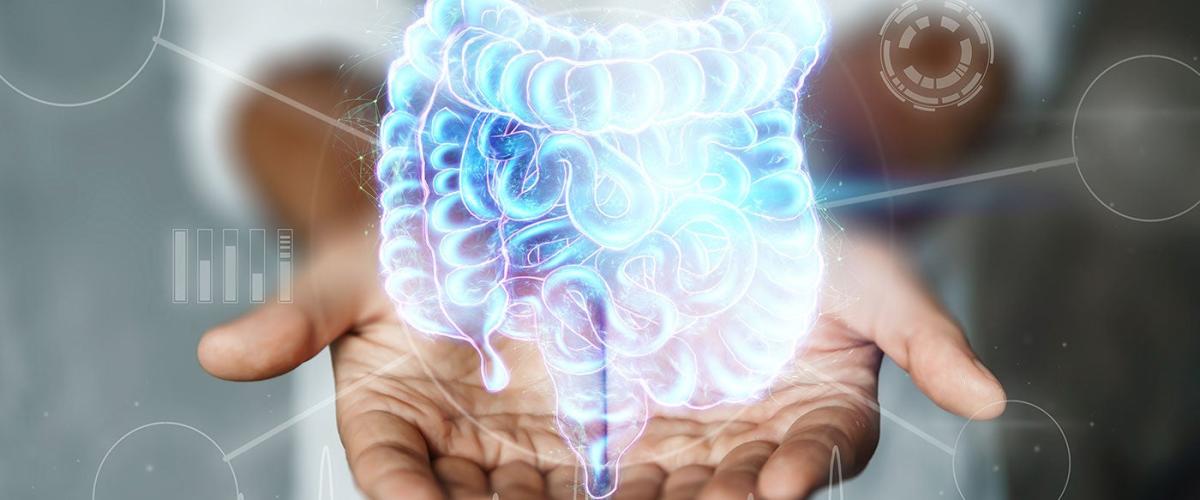 gut-health