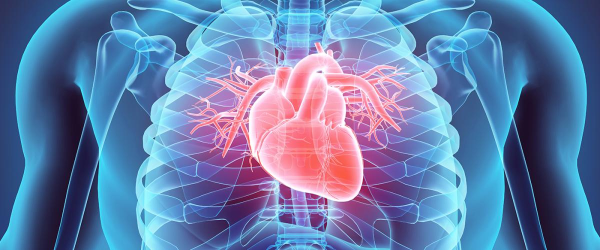 heart-feat
