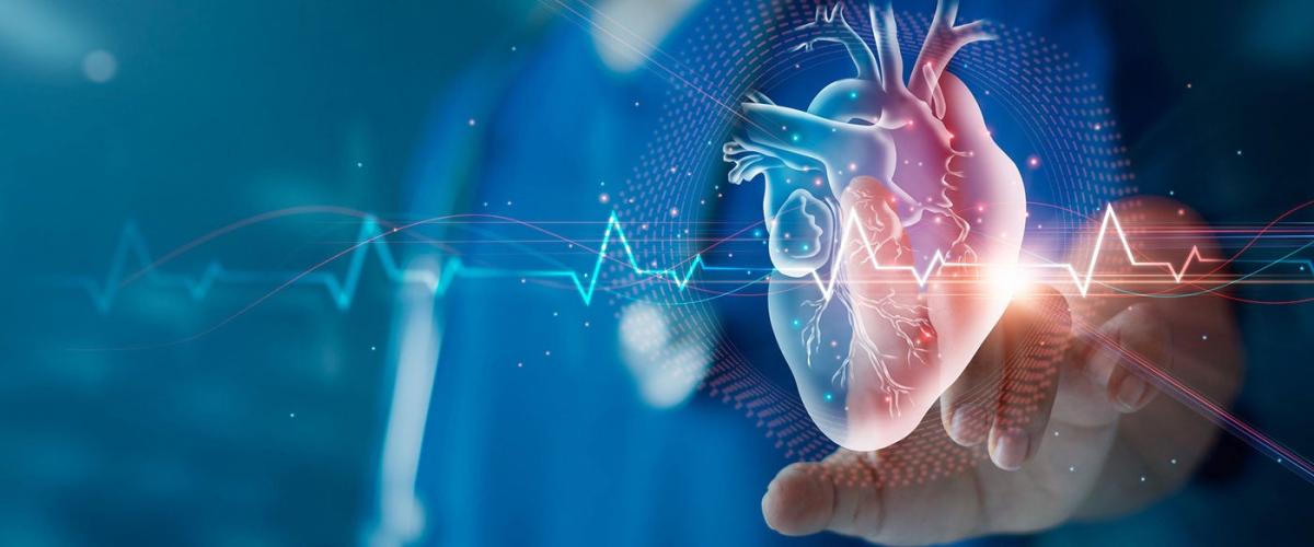heart-feature-image