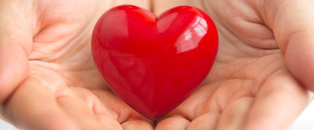 heart-in-hand