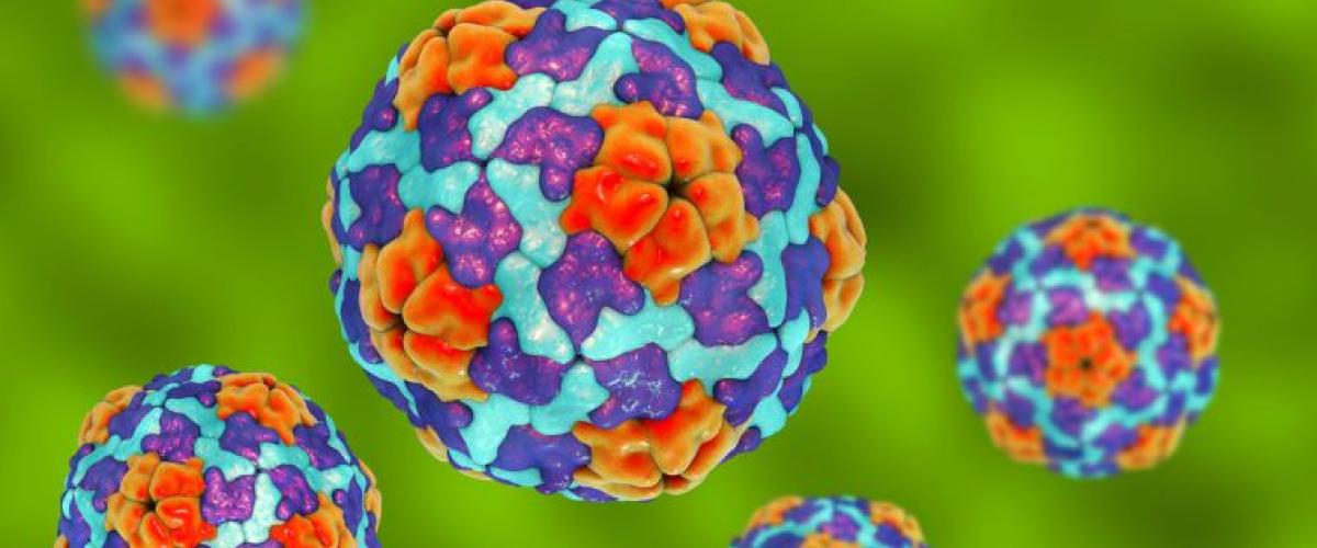 hepatitis
