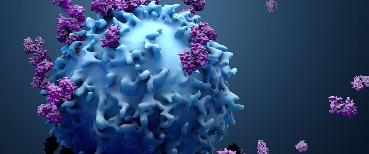immunotherapy