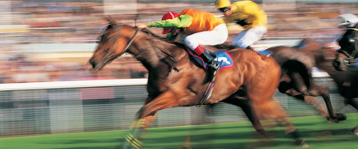 kentucky-derby-feat