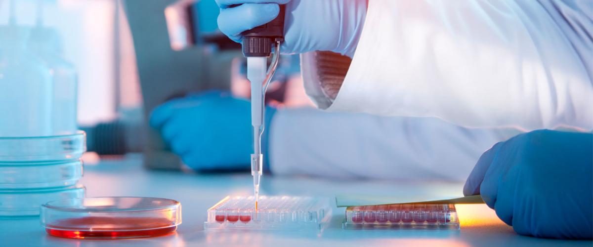 lab
