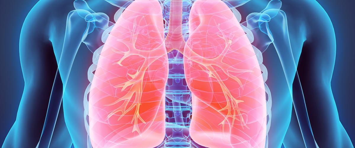 lungs-feat