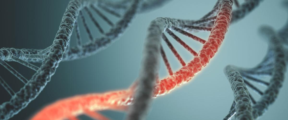 mrna