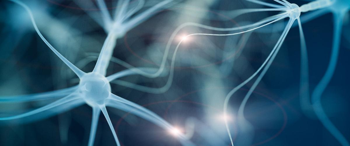 neural-network-feat