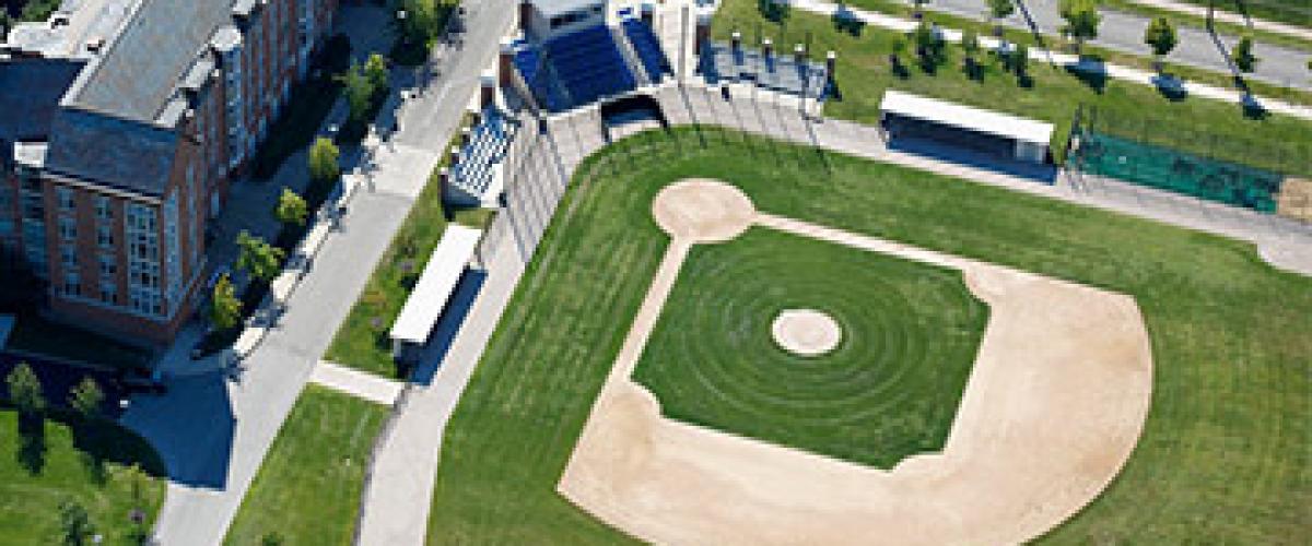 nobbys-ballpark