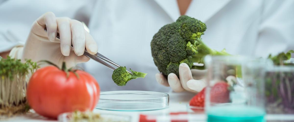 nutrition-feat