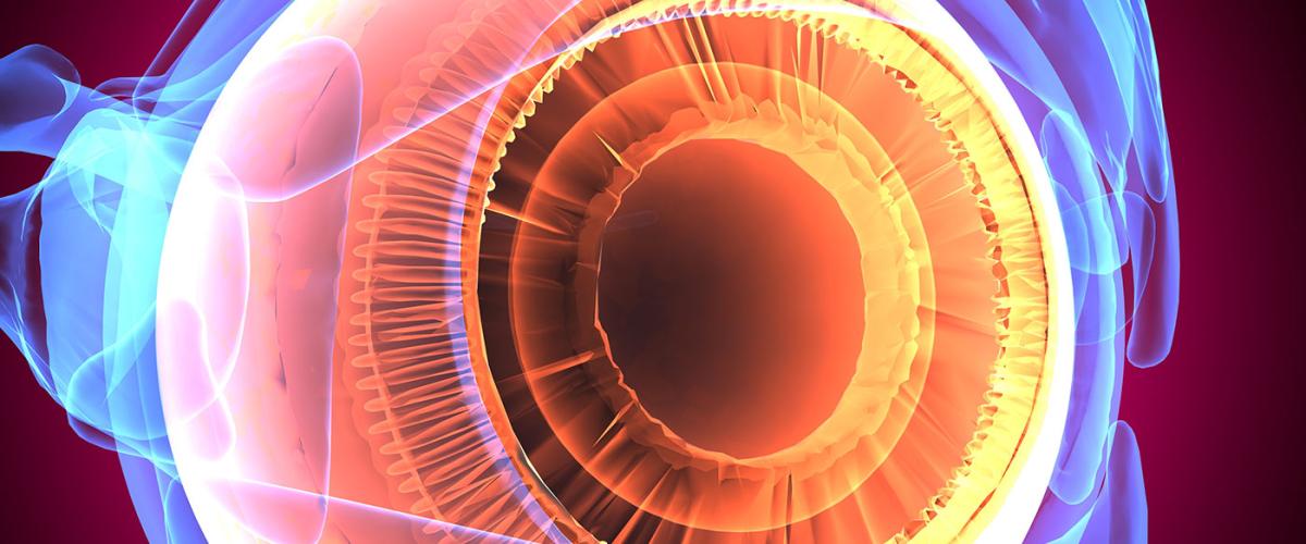 opthomology