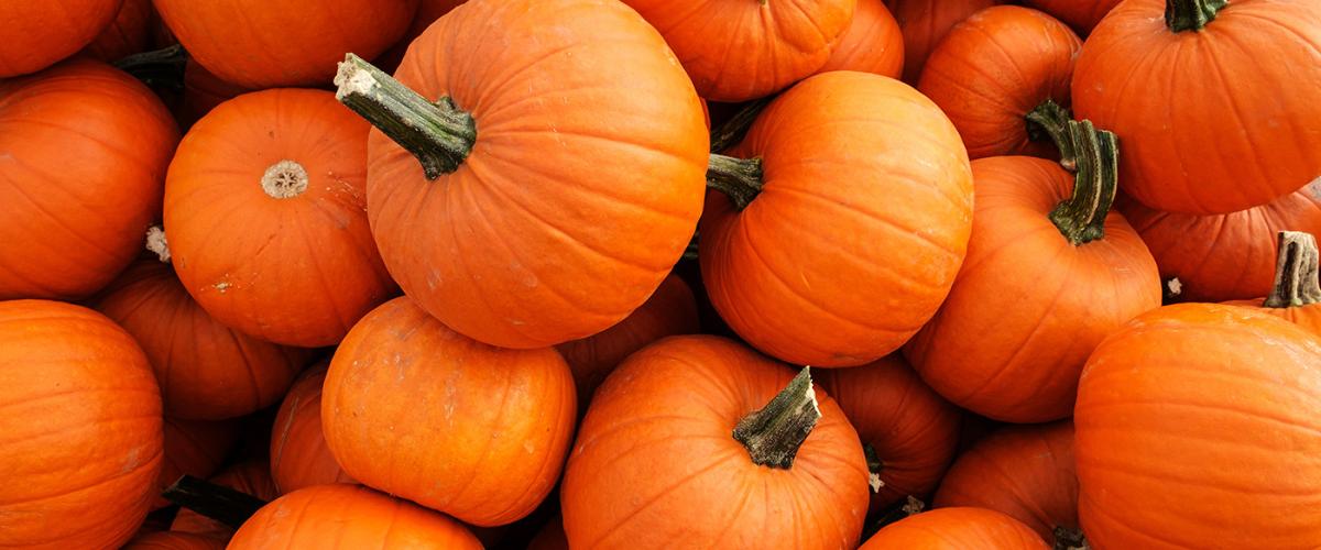 pumpkins-feat