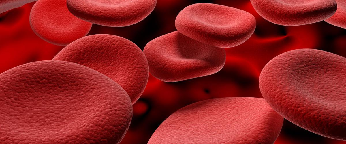 red-blood-cells-feat