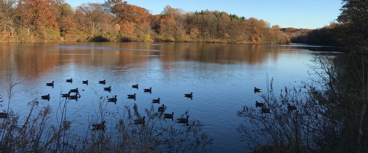 shaker-lakes-feat