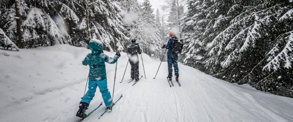 ski