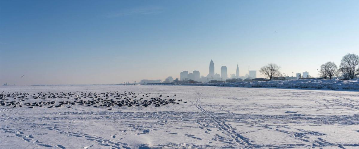snow-cleveland-feat
