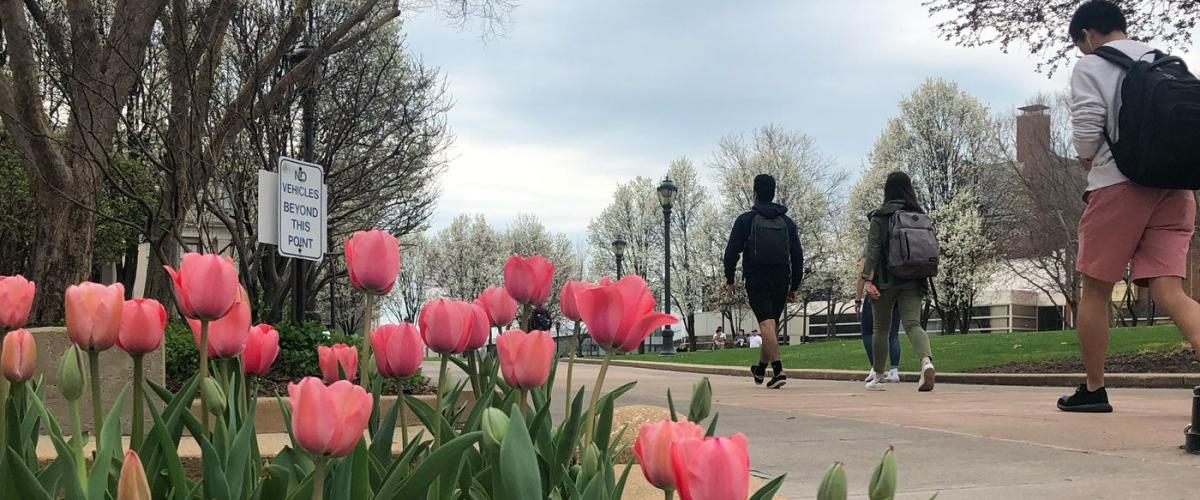 spring-campus-flowers-feat