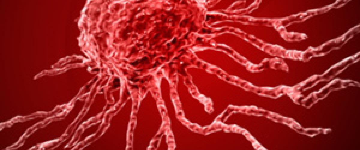 stem-cell-feature