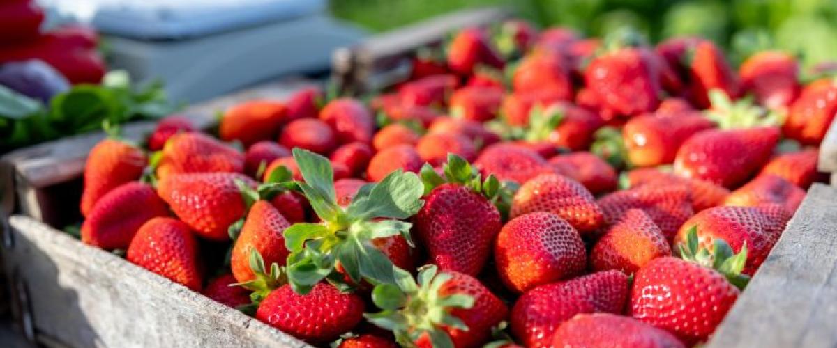 strawberries