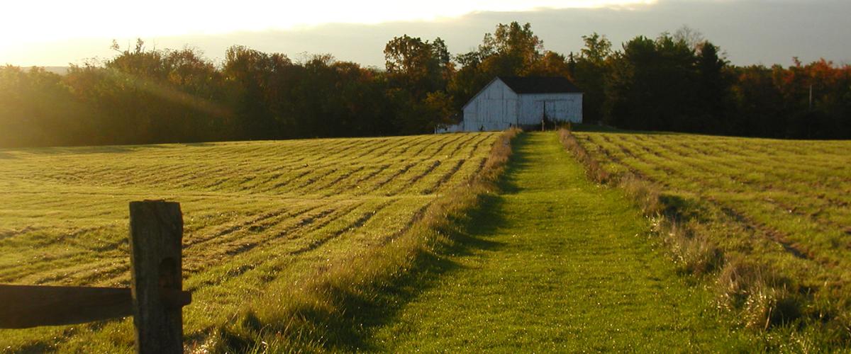 university-farm