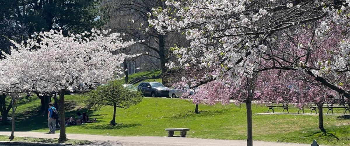 wade-lagoon-spring