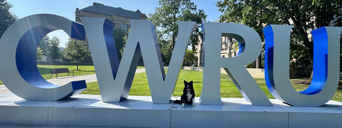 A black, white and brown dog poses in front of a large gray and blue sign near the university’s Binary Walkway that spells, “CWRU.”