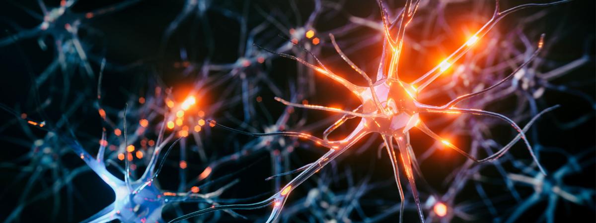 Photo illustration of neurons in the brain with glowing synapses