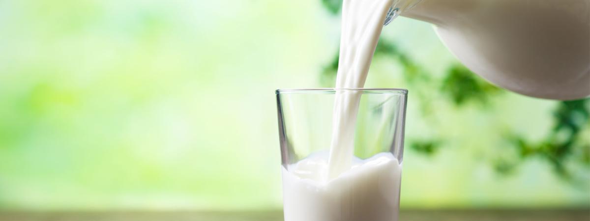 Photo of a pitcher of milk being poured into a glass