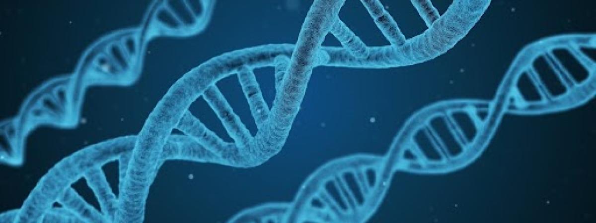Graphic of genes