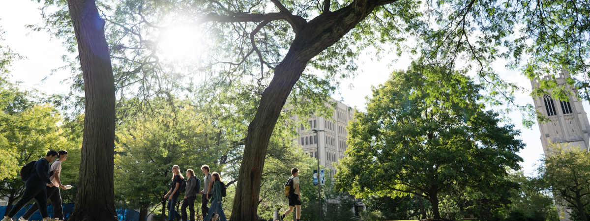 Students walking on campus on a sunny day