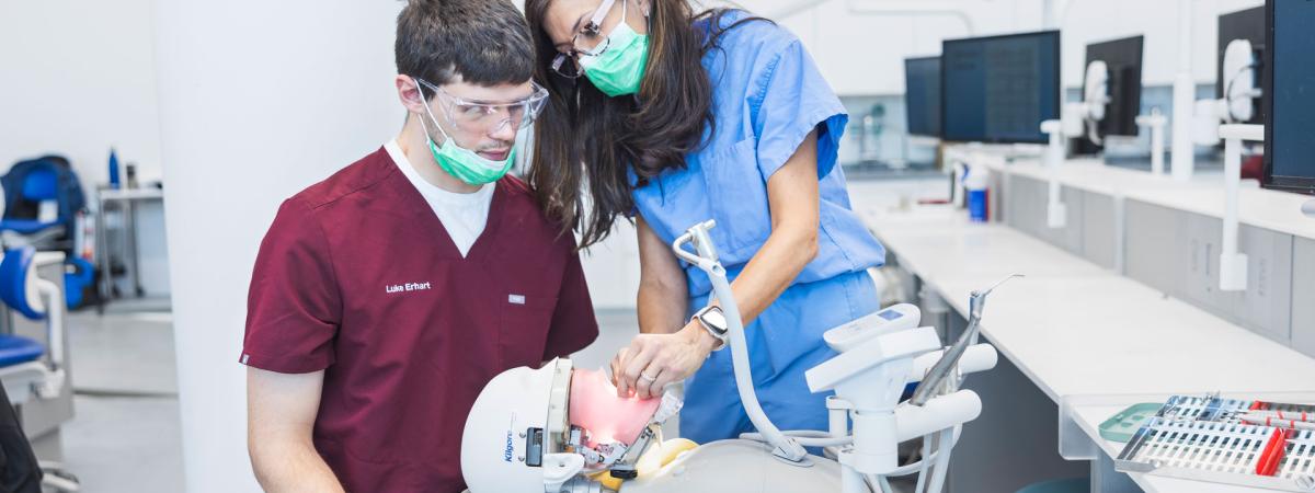 Photo of a dental faculty member demonstrating on a simulation mouth to show a dental student a technique 