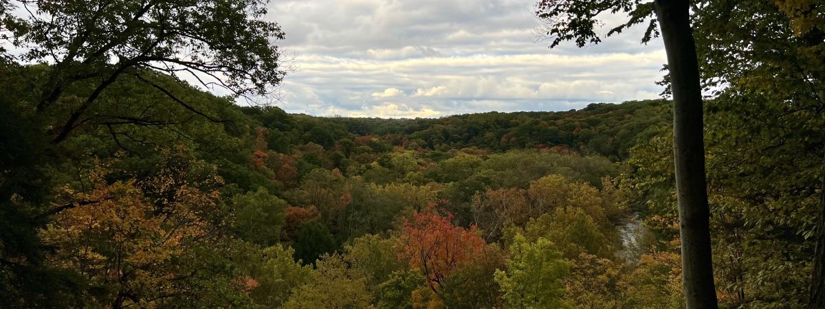 Fall leaves show at Bedford Reservation