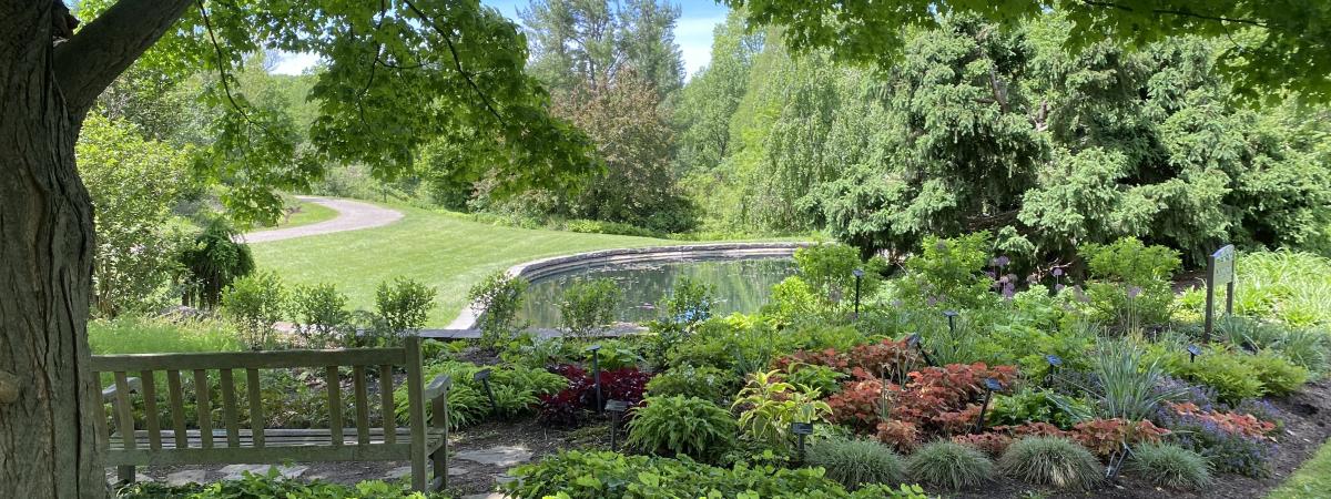 Holden Arboretum trees and plants in the fall