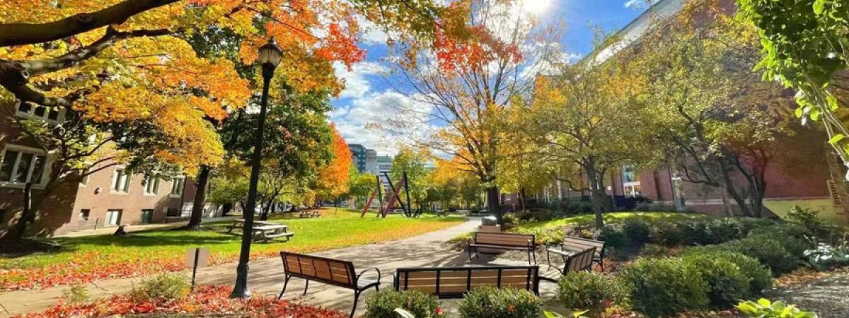 Photo taken outside of Thwing Center of benches on a sunny fall day
