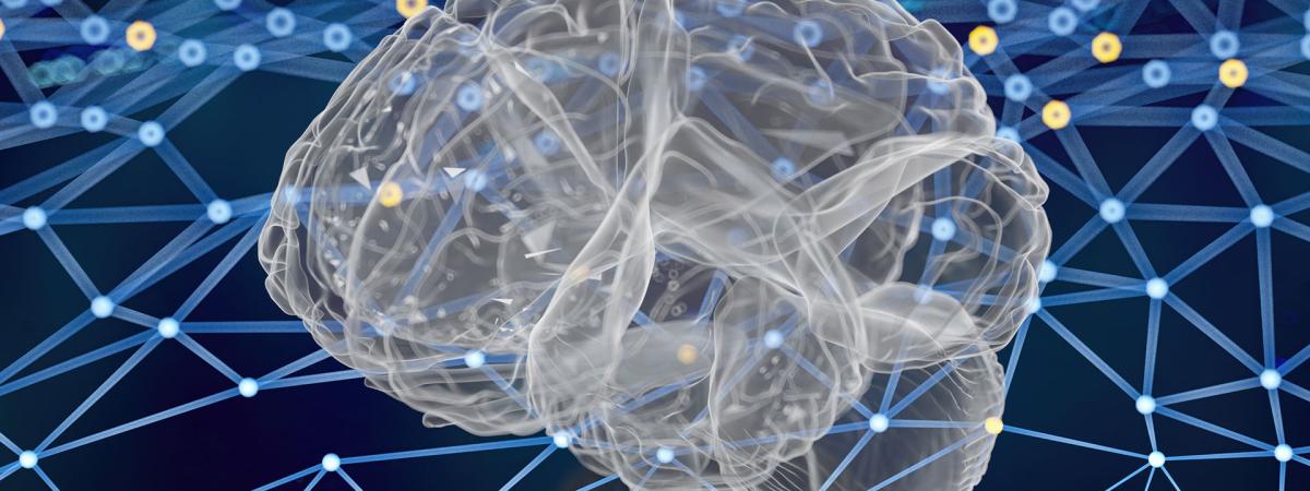 Photo illustration of a brain model