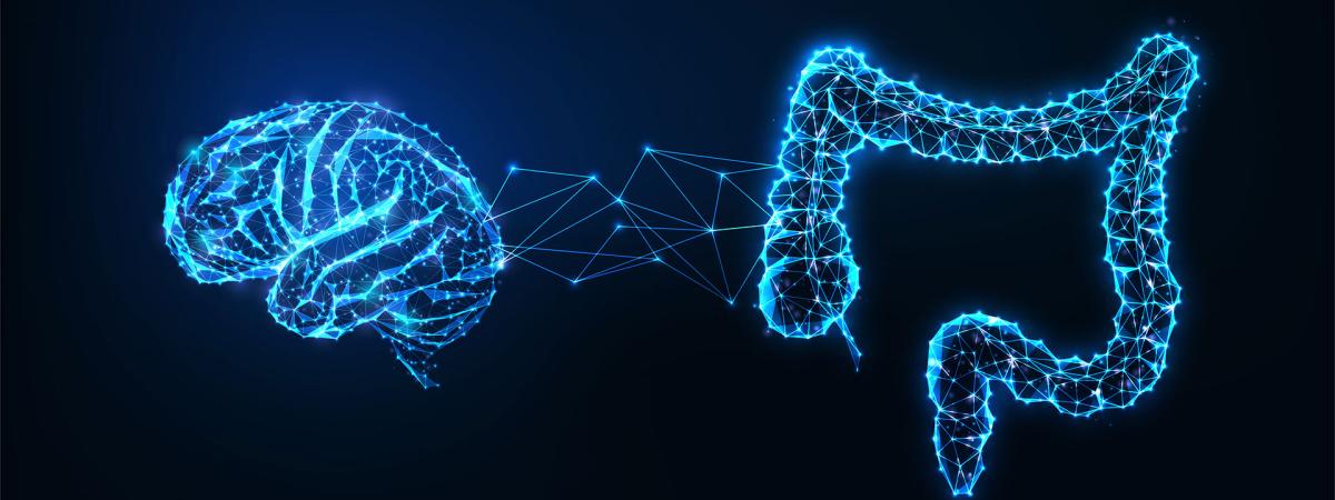 Photo illustration of a brain and intestines with interconnected nature of the gut and brain