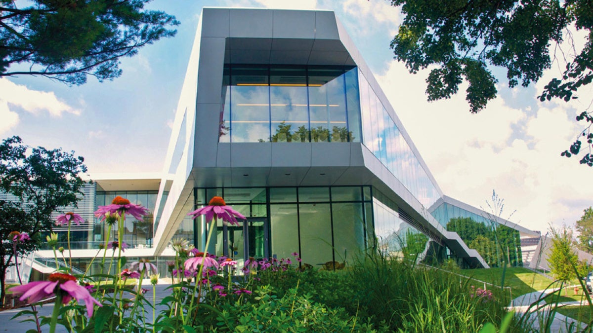 Modern glass building with sleek architecture, surrounded by vibrant pink flowers and lush greenery under a bright blue sky with clouds.