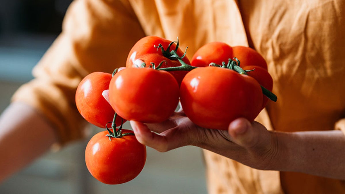 Close up photo of a person holding tomatoes while they work in the kitchen
