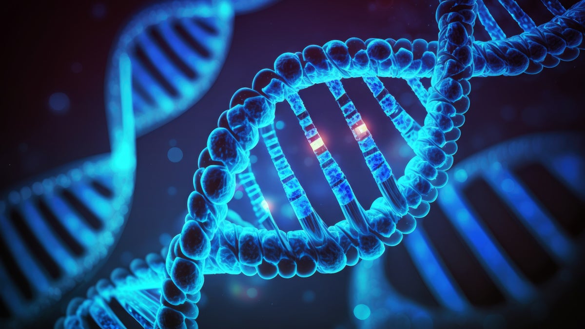 DNA strand