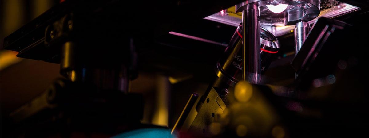 3d-imaging