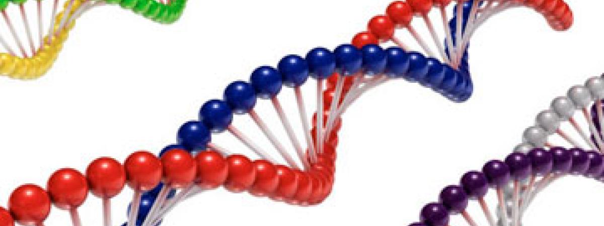 DNA-helix