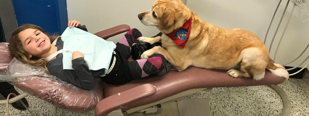 Dental-dogs