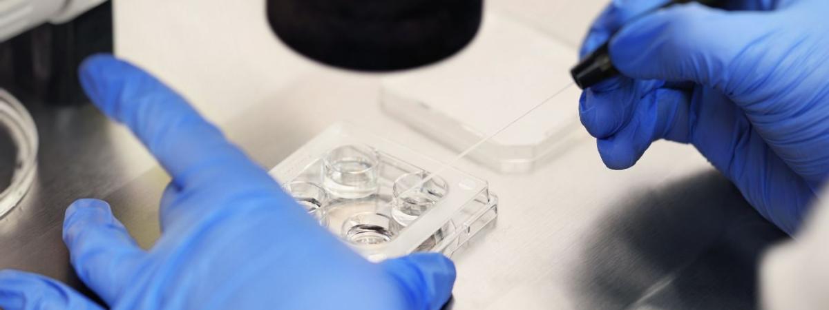 IVF-clinic
