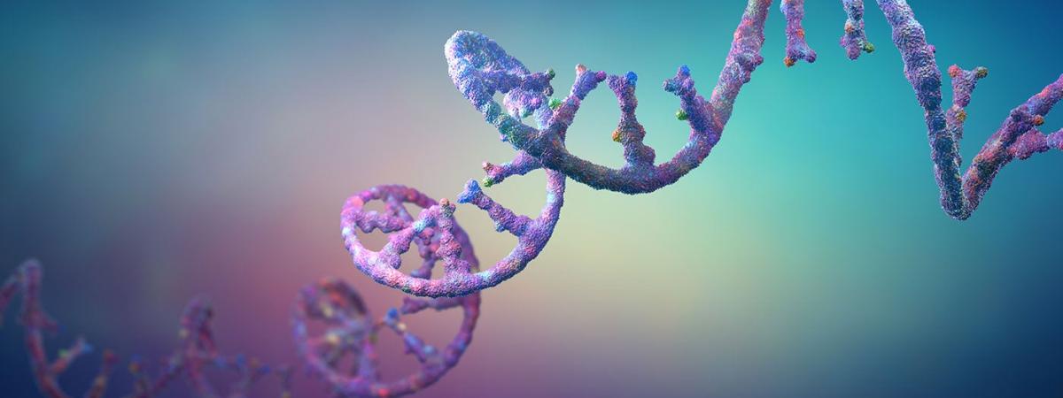 RNA_strand