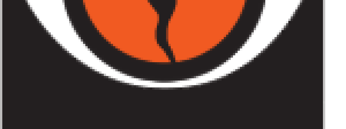 SkywarnLogoTxtOutln2