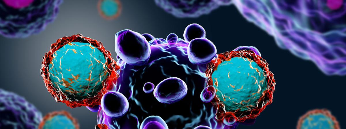 T-cells